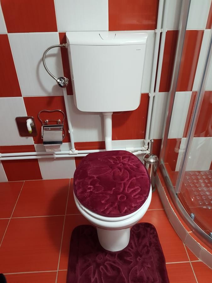 Гостевой дом Sobe Zarubica Жабляк-29