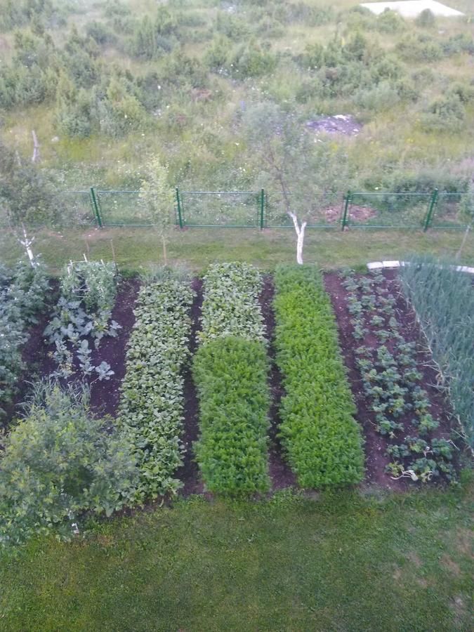 Гостевой дом Sobe Zarubica Жабляк-8