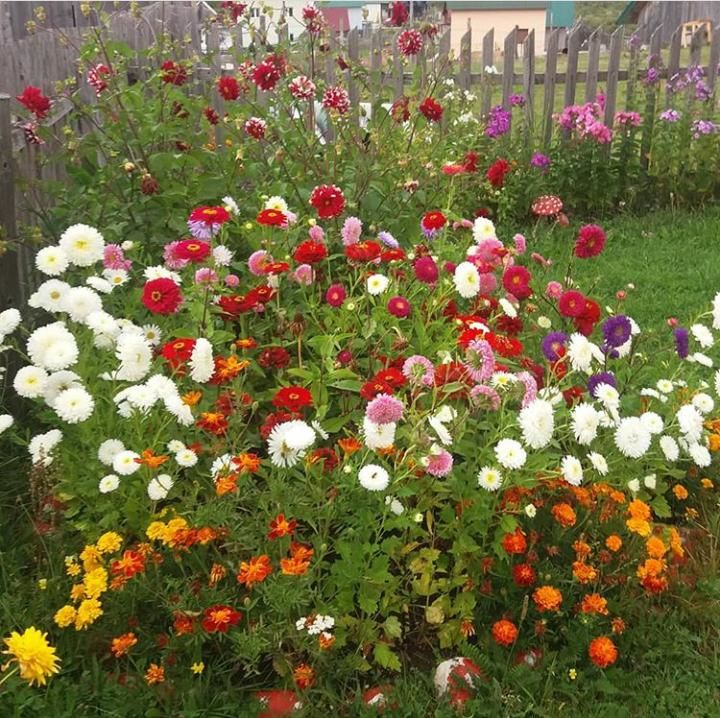 Гостевой дом Sobe Zarubica Жабляк-10