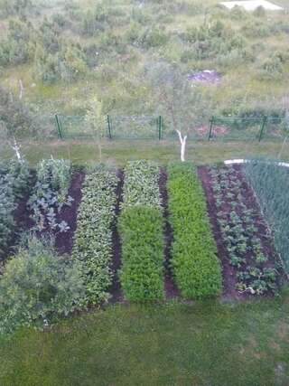 Гостевой дом Sobe Zarubica Жабляк-4