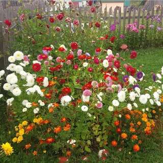 Гостевой дом Sobe Zarubica Жабляк-6