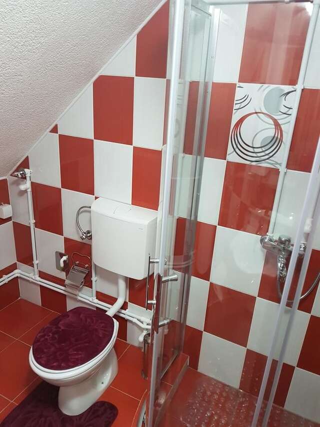 Гостевой дом Sobe Zarubica Жабляк-23