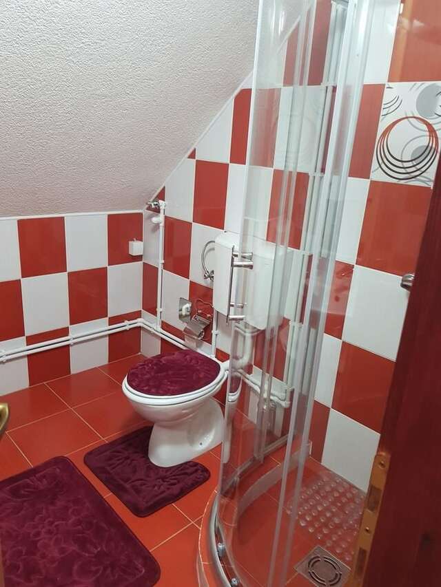 Гостевой дом Sobe Zarubica Жабляк-30