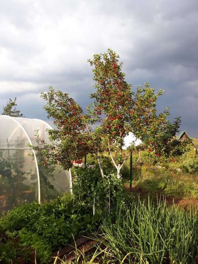 Гостевой дом Sobe Zarubica Жабляк-11